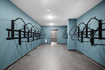 A gym with a row of treadmills on the left and right.